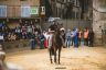 Palio Straordinario: la fotogallery delle Prove di Addestramento Mattutine
